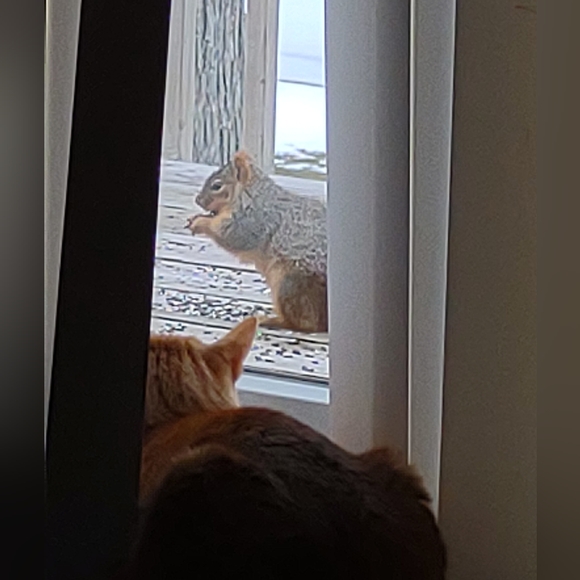 YOU could looks this fabulous too! - Picture 8 of 12